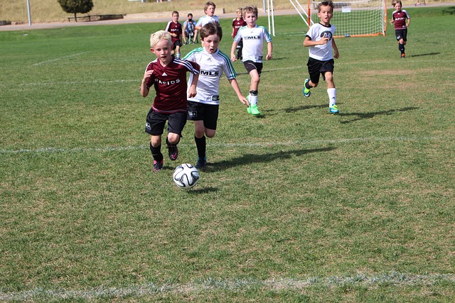 其应用范围 其应用范围