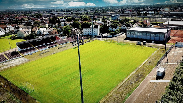 球队现状 球队现状